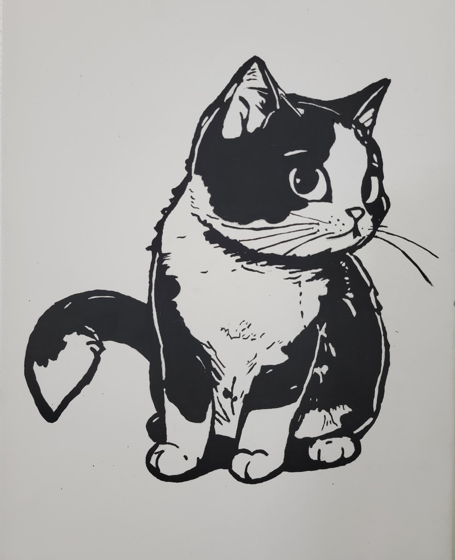 A Black and White Cat #1